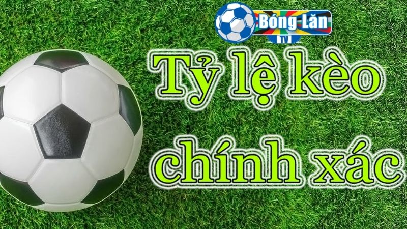 Các giải đấu được BonglanTV cung cấp bảng kèo nhà cái nhanh chóng